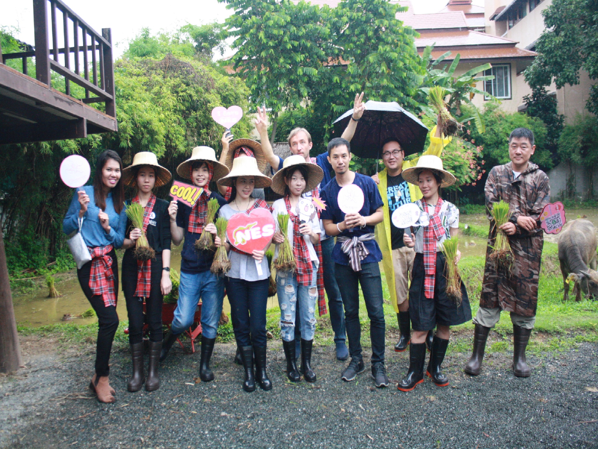 Rice Planting